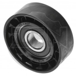 Polia Tensionadora da Correia do Alternador - ZEN - 12762 - Unitário